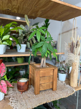 Load image into Gallery viewer, Cedar Wood Planter