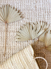 Load image into Gallery viewer, Dried Natural Palm Bunch