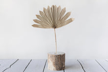 Load image into Gallery viewer, Dried Natural Palm Bunch