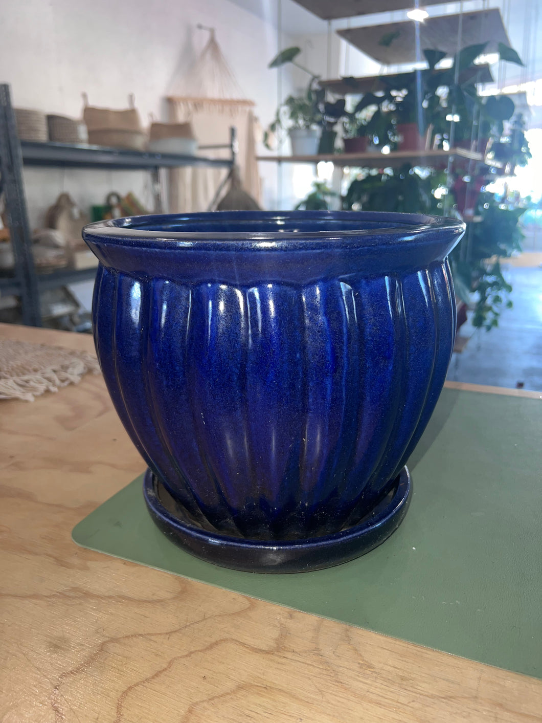 Blue Bowl Pot w/ Saucer