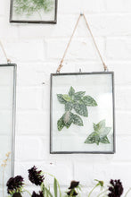 Load image into Gallery viewer, Hanging Metal Frame
