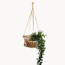 Load image into Gallery viewer, Jhuri Single Hanging Basket
